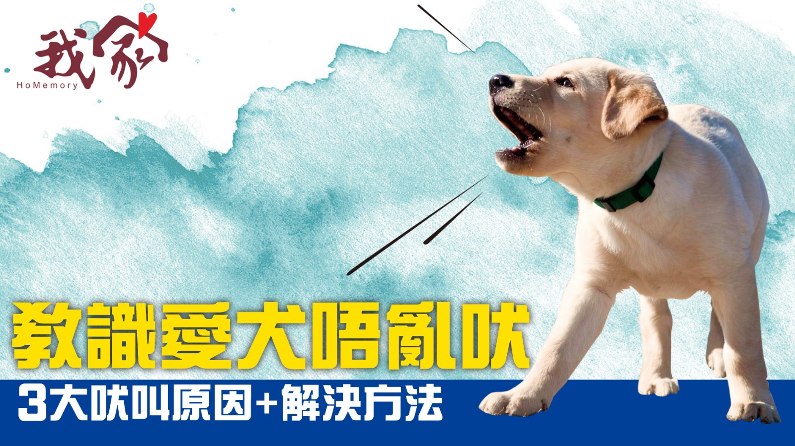 教識愛犬唔亂吠
